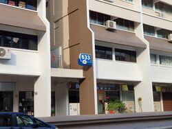 Veerasamy Road (D8), Shop House #579054021